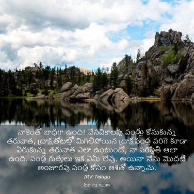 Picture 03 - మీకా 7:1 TELIRV - నాకెంతో బాధగా - Bible Verse Picture