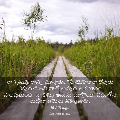 Picture 03 - మీకా 7:10 TELIRV - నా శత్రువు దాన్ని - Bible Verse Picture