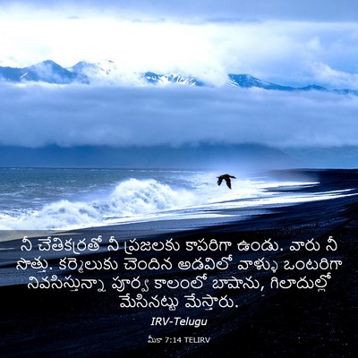 Picture 03 - మీకా 7:14 TELIRV - నీ చేతికర్రతో నీ - Bible Verse Picture