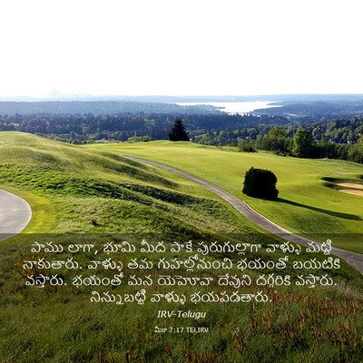 Picture 03 - మీకా 7:17 TELIRV - పాము లాగా, భూమి మీద - Bible Verse Picture