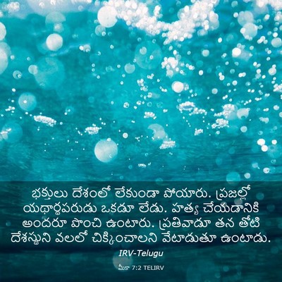 Picture 03 - మీకా 7:2 TELIRV - భక్తులు దేశంలో - Bible Verse Picture