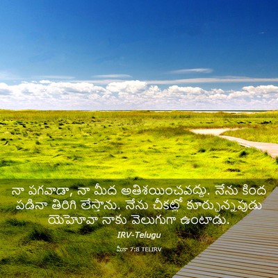 Picture 03 - మీకా 7:8 TELIRV - నా పగవాడా, నా మీద - Bible Verse Picture
