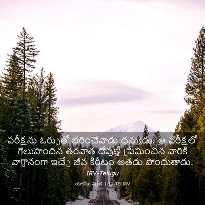 Picture 03 - యాకోబు పత్రిక 1:12 TELIRV - పరీక్షను ఓర్పుతో - Bible Verse Picture
