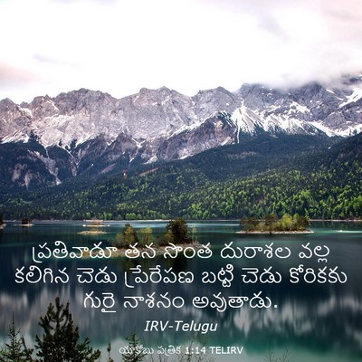 Picture 03 - యాకోబు పత్రిక 1:14 TELIRV - ప్రతివాడూ తన సొంత - Bible Verse Picture