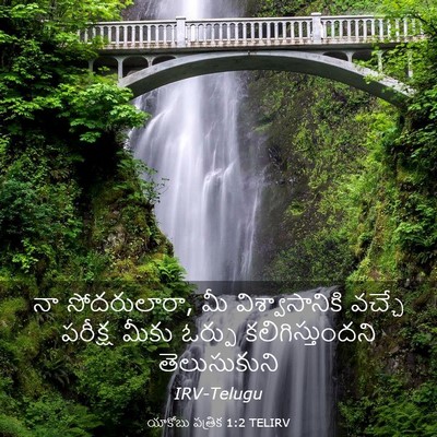 Picture 03 - యాకోబు పత్రిక 1:2 TELIRV - నా సోదరులారా, మీ - Bible Verse Picture