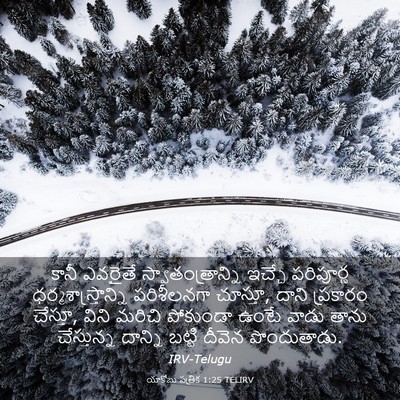 Picture 03 - యాకోబు పత్రిక 1:25 TELIRV - కానీ ఎవరైతే - Bible Verse Picture