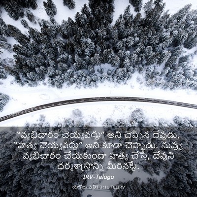 Picture 03 - యాకోబు పత్రిక 2:11 TELIRV - “వ్యభిచారం - Bible Verse Picture