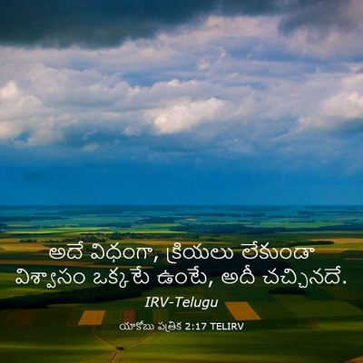 Picture 03 - యాకోబు పత్రిక 2:17 TELIRV - అదే విధంగా, - Bible Verse Picture