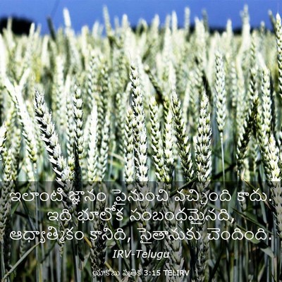 Picture 03 - యాకోబు పత్రిక 3:15 TELIRV - ఇలాంటి జ్ఞానం - Bible Verse Picture