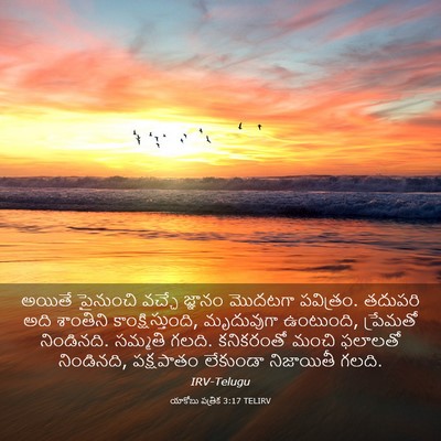 Picture 03 - యాకోబు పత్రిక 3:17 TELIRV - అయితే పైనుంచి - Bible Verse Picture