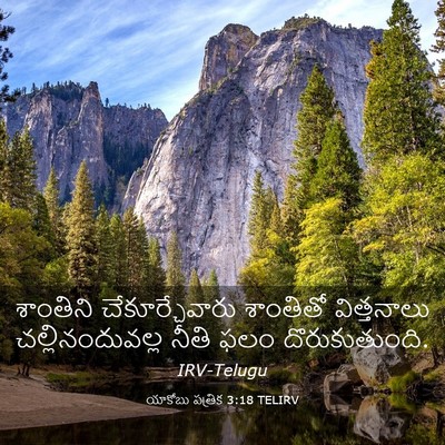 Picture 03 - యాకోబు పత్రిక 3:18 TELIRV - శాంతిని - Bible Verse Picture