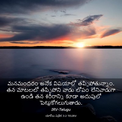 Picture 03 - యాకోబు పత్రిక 3:2 TELIRV - మనమందరం అనేక - Bible Verse Picture