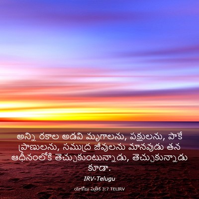 Picture 03 - యాకోబు పత్రిక 3:7 TELIRV - అన్ని రకాల అడవి - Bible Verse Picture