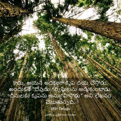Picture 03 - యాకోబు పత్రిక 4:6 TELIRV - కాదు, ఆయన అధికంగా - Bible Verse Picture