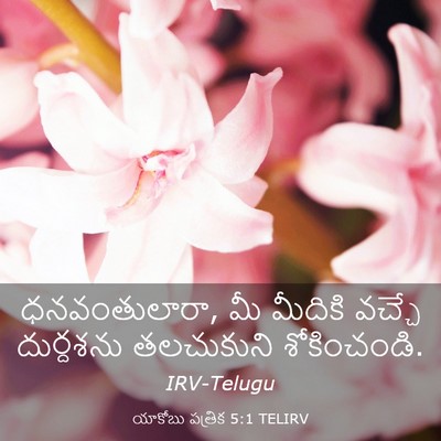 Picture 03 - యాకోబు పత్రిక 5:1 TELIRV - ధనవంతులారా, మీ - Bible Verse Picture