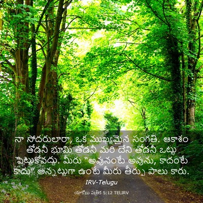 Picture 03 - యాకోబు పత్రిక 5:12 TELIRV - నా సోదరులారా, ఒక - Bible Verse Picture