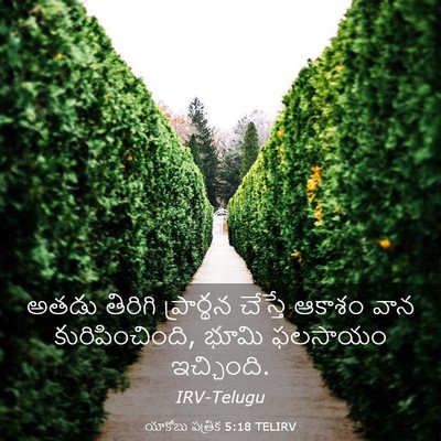 Picture 03 - యాకోబు పత్రిక 5:18 TELIRV - అతడు తిరిగి - Bible Verse Picture