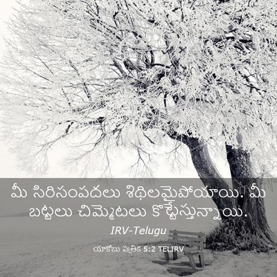 Picture 03 - యాకోబు పత్రిక 5:2 TELIRV - మీ సిరిసంపదలు - Bible Verse Picture