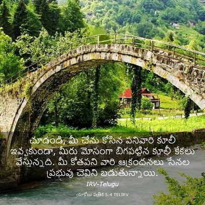 Picture 03 - యాకోబు పత్రిక 5:4 TELIRV - చూడండి, మీ చేను - Bible Verse Picture