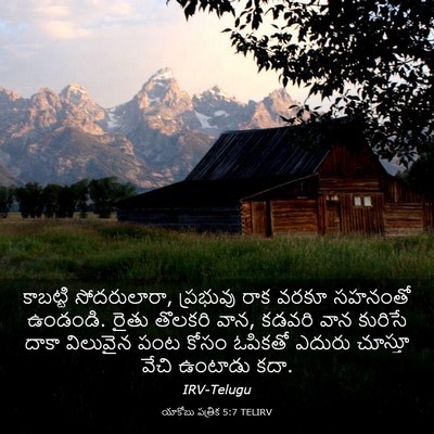 Picture 03 - యాకోబు పత్రిక 5:7 TELIRV - కాబట్టి - Bible Verse Picture