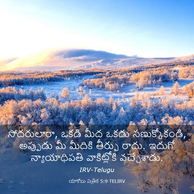 Picture 03 - యాకోబు పత్రిక 5:9 TELIRV - సోదరులారా, ఒకడి - Bible Verse Picture