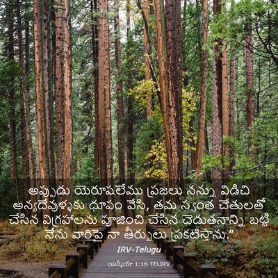 Picture 03 - యిర్మీయా 1:16 TELIRV - అప్పుడు యెరూషలేము - Bible Verse Picture
