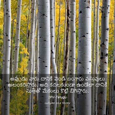 Picture 03 - యిర్మీయా 10:4 TELIRV - అప్పుడు వారు - Bible Verse Picture