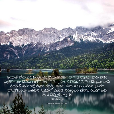 Picture 03 - యిర్మీయా 11:19 TELIRV - అయితే నేను వధకు - Bible Verse Picture