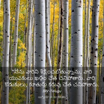 Picture 03 - యిర్మీయా 11:22 TELIRV - “నేను వారిని - Bible Verse Picture