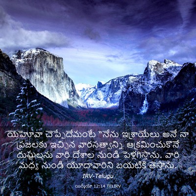 Picture 03 - యిర్మీయా 12:14 TELIRV - యెహోవా - Bible Verse Picture