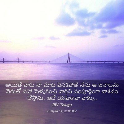 Picture 03 - యిర్మీయా 12:17 TELIRV - అయితే వారు నా మాట - Bible Verse Picture