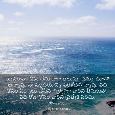 Picture 03 - యిర్మీయా 12:3 TELIRV - యెహోవా, నీకు నేను - Bible Verse Picture