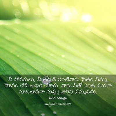 Picture 03 - యిర్మీయా 12:6 TELIRV - నీ సోదరులు, నీ - Bible Verse Picture