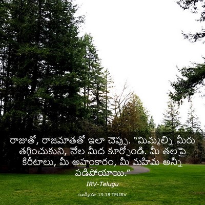 Picture 03 - యిర్మీయా 13:18 TELIRV - రాజుతో, రాజమాతతో - Bible Verse Picture
