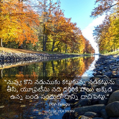 Picture 03 - యిర్మీయా 13:4 TELIRV - “నువ్వు కొని - Bible Verse Picture