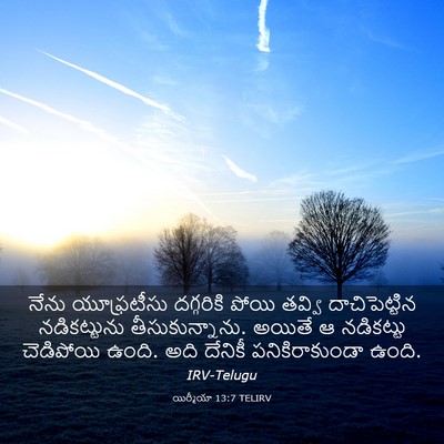 Picture 03 - యిర్మీయా 13:7 TELIRV - నేను యూఫ్రటీసు - Bible Verse Picture
