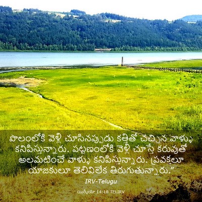 Picture 03 - యిర్మీయా 14:18 TELIRV - పొలంలోకి వెళ్లి - Bible Verse Picture