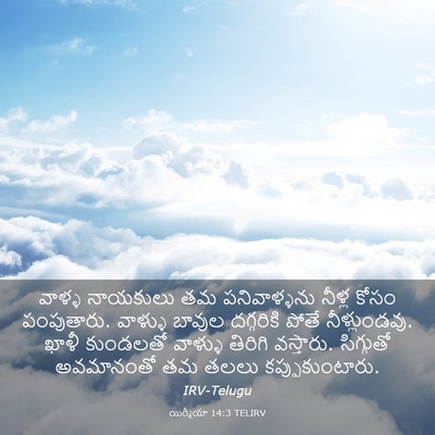 Picture 03 - యిర్మీయా 14:3 TELIRV - వాళ్ళ నాయకులు తమ - Bible Verse Picture