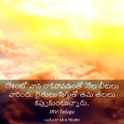 Picture 03 - యిర్మీయా 14:4 TELIRV - దేశంలో వాన - Bible Verse Picture