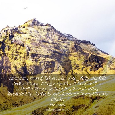 Picture 03 - యిర్మీయా 15:15 TELIRV - యెహోవా, నా బాధ నీకే - Bible Verse Picture