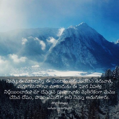 Picture 03 - యిర్మీయా 16:10 TELIRV - నువ్వు ఈ మాటలన్నీ - Bible Verse Picture