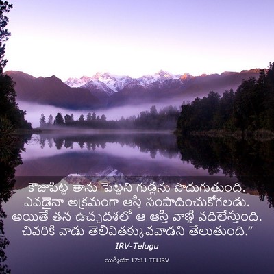 Picture 03 - యిర్మీయా 17:11 TELIRV - కౌజుపిట్ట తాను - Bible Verse Picture