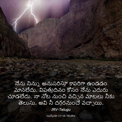 Picture 03 - యిర్మీయా 17:16 TELIRV - నేను నిన్ను - Bible Verse Picture
