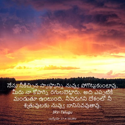 Picture 03 - యిర్మీయా 17:4 TELIRV - నేను నీకిచ్చిన - Bible Verse Picture