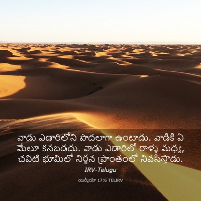 Picture 03 - యిర్మీయా 17:6 TELIRV - వాడు ఎడారిలోని - Bible Verse Picture