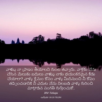 Picture 03 - యిర్మీయా 18:20 TELIRV - వాళ్ళు నా ప్రాణం - Bible Verse Picture