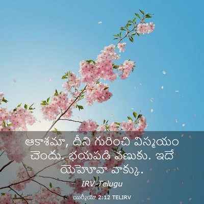Picture 03 - యిర్మీయా 2:12 TELIRV - ఆకాశమా, దీని - Bible Verse Picture