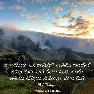 Picture 03 - యిర్మీయా 2:14 TELIRV - ఇశ్రాయేలు ఒక - Bible Verse Picture