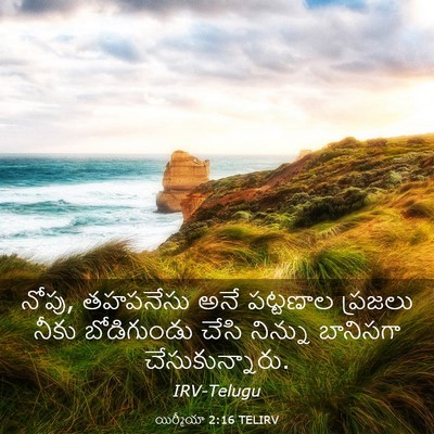 Picture 03 - యిర్మీయా 2:16 TELIRV - నోపు, తహపనేసు అనే - Bible Verse Picture