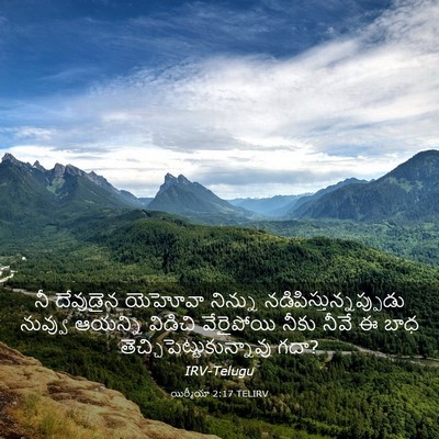 Picture 03 - యిర్మీయా 2:17 TELIRV - నీ దేవుడైన యెహోవా - Bible Verse Picture